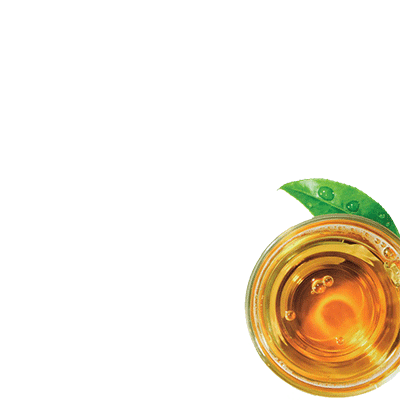Glass of kombucha tea with green leaf.